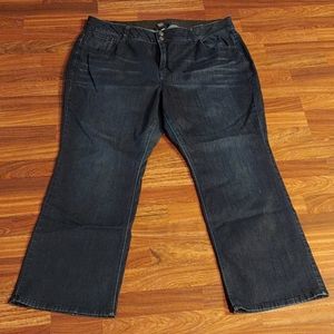 Venezia (Lane Bryant) Dk. Rinse Bootcut Je…